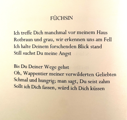 Füchsin - aus "Gespannte Sehne"