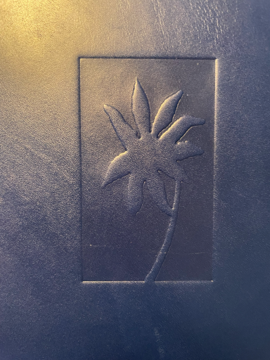 Einbanddetail "Blutdiebin"