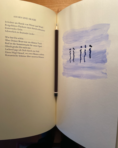 Text und Bild aus "Gespannte Sehne"